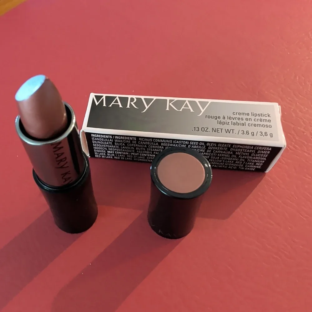 Mary Kay Creme Lipstick Raisinberry 022836 Neutral Berry Brown 0.13oz New 022836